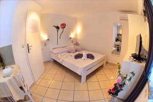 81S2 - Studio Valentina: