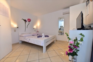 81S2 - Studio Valentina: