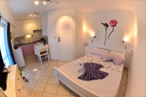 81S2 - Studio Valentina: