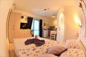 81S2 - Studio Valentina: