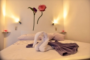 81S2 - Studio Valentina: