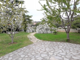 22S2 - Apartment-studio Blue: