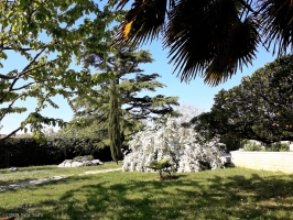 22S2 - Apartment-studio Blue: