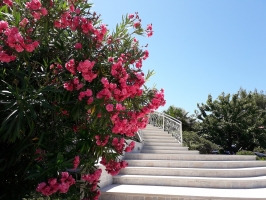 22A3 - Apartment Val nr. 3: