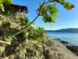 01A5 - Apartment Zana: