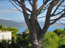 45A3 - Apartment Anna nr. 3: