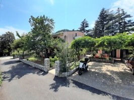 54B4 - Bungalow Cherry: