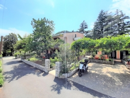 54B4 - Bungalow Cherry: