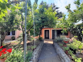 54B4 - Bungalow Cherry: