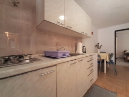 54B4 - Bungalow Cherry: