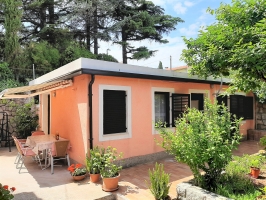 54B4 - Bungalow Cherry: