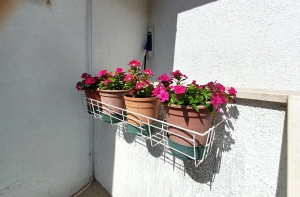 43A2 - Apartment Smiljana nr. 1: