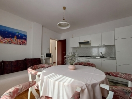 43A4 - Apartment Smiljana nr. 2: