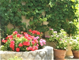 30A4 - Apartment Adria nr. 2: