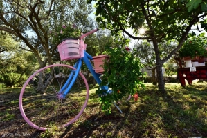 81S2 - Studio Valentina: