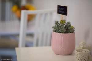 57S3 - Studio Lavanda nr. 3: