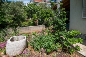 57S3 - Studio Lavanda nr. 3: