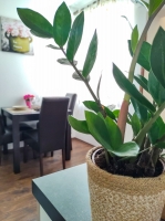 89A2 - Apartment Marina: