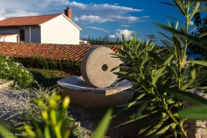 51A4 - Apartment Fiore nr. 2: