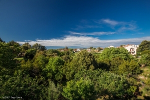 01A4 - Apartment Dodo: