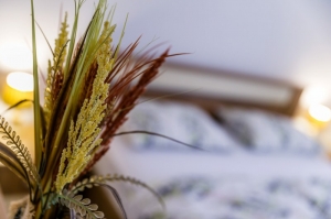 39A2 - Apartment Urban: