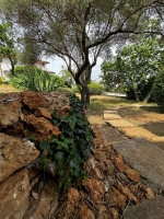 34A4 - Apartment Adriana: