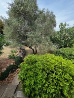 34A4 - Apartment Adriana: