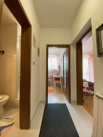 52S3 - Studio Xenia: