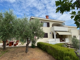 52S3 - Studio Xenia: