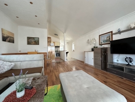 01A1 - Apartment Milka: