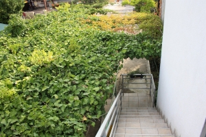 10A4 - Apartment Sonja: