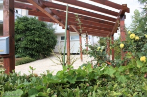 05A2 - Apartment Viva nr. 2: