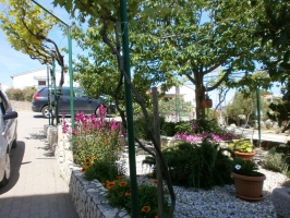 31A4 - Apartment Lilly: