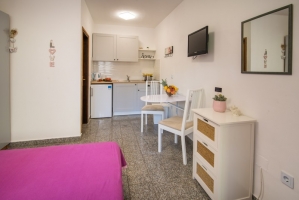 57S3 - Studio Lavanda nr. 3: