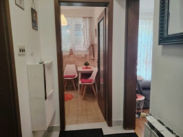 52S3 - Studio Xenia: